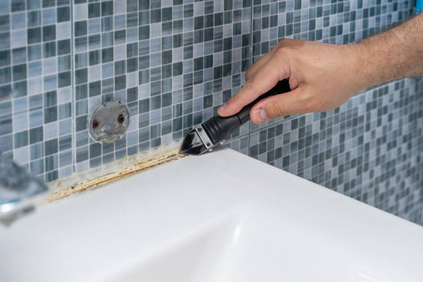 Best Same-Day Mold Removal  in Lawrencevle, IL