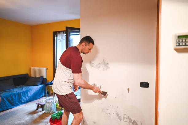 Best Mold Damage Repair  in Lawrencevle, IL